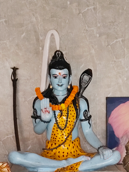 Flowers, diyas and laddoo bhog offered at Shiv Parmarth Dham